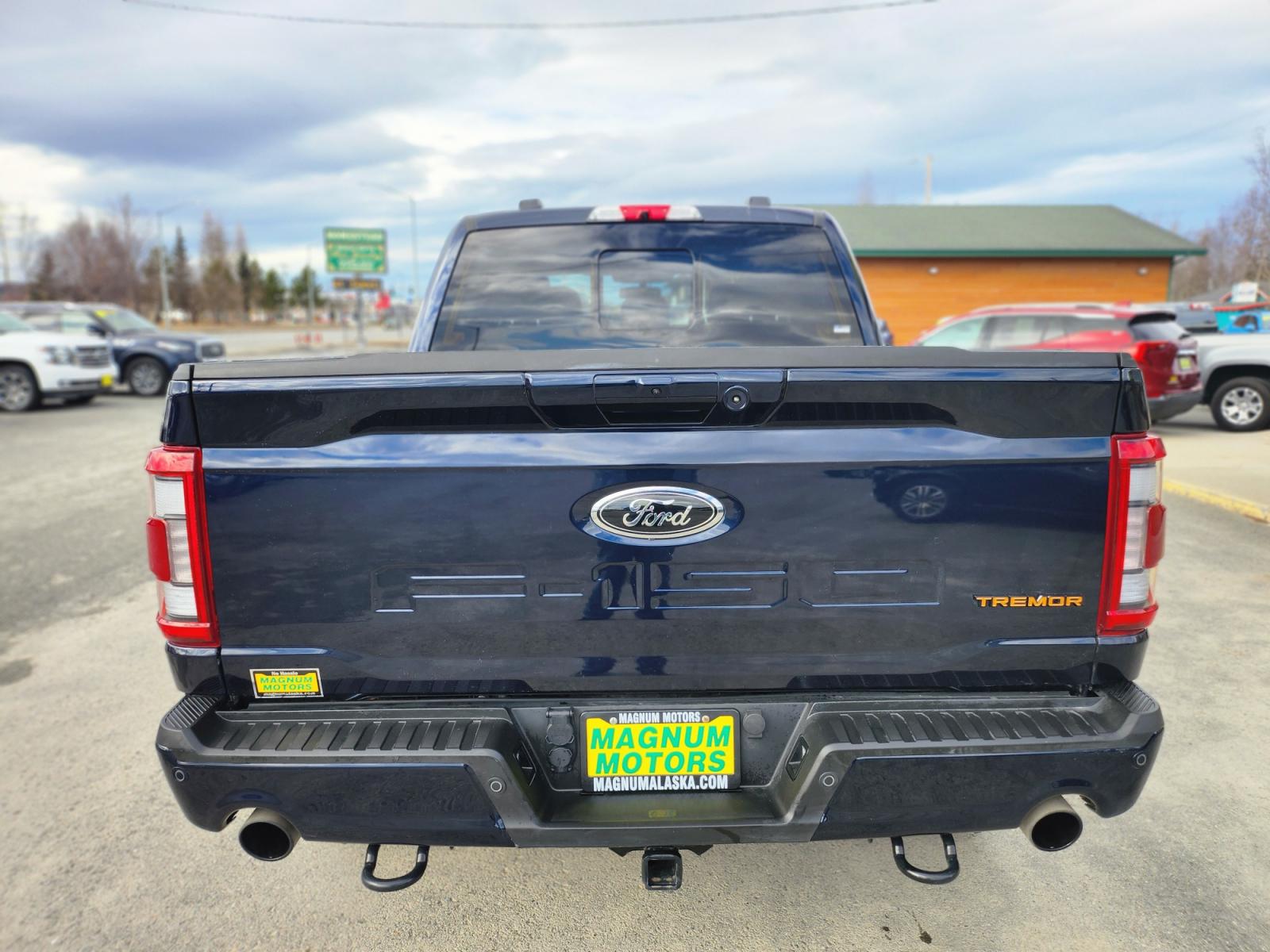 2022 BLUE /BLACK FORD F-150 TREMOR (1FTEW1E81NF) with an 3.5L engine, Automatic transmission, located at 1960 Industrial Drive, Wasilla, 99654, (907) 274-2277, 61.573475, -149.400146 - Photo #4